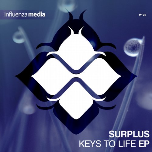 Surplus – Keys to Life