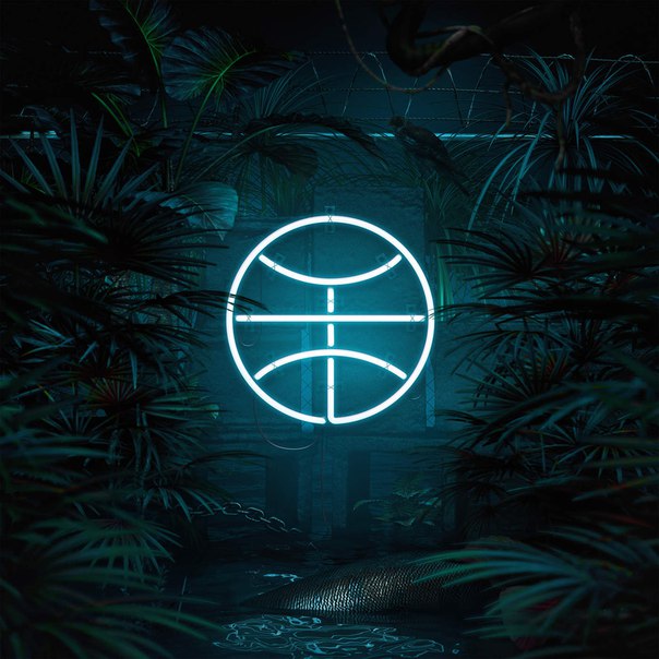 Falcons – Terra
