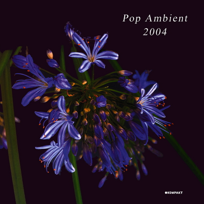 Pop Ambient 2004