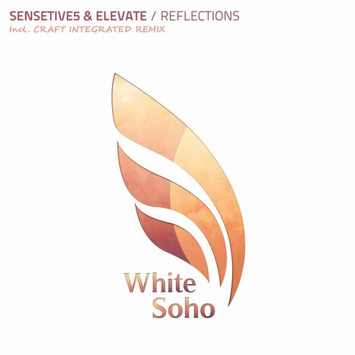 Sensetive5 & Elevate – Reflections