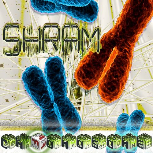 Shram – Chromosome