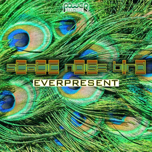 Static Noise Bird – Everpresent