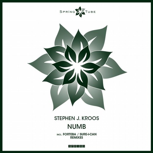 Stephen J. Kroos – Numb
