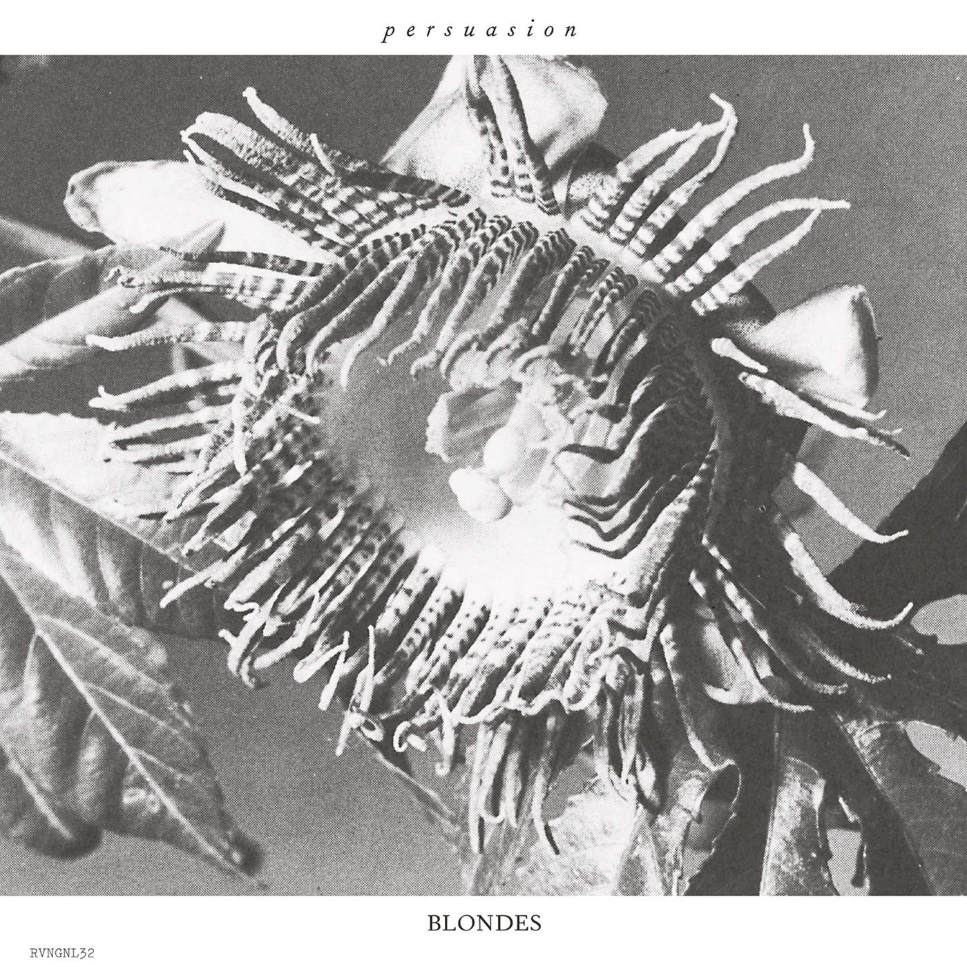 Blondes – Persuasion