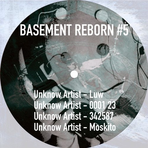Basement Reborn – Basement Reborn #5