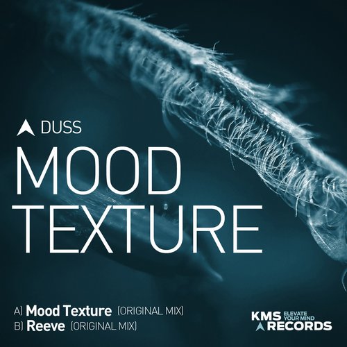 Duss – Mood Texture