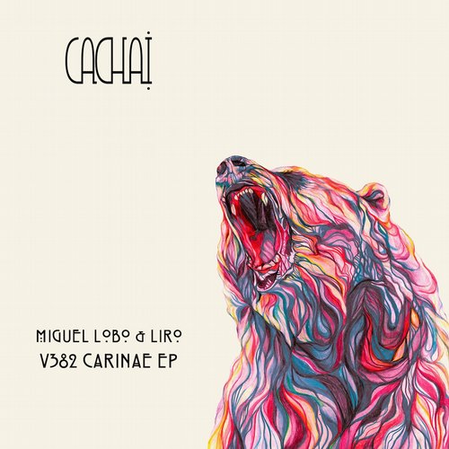 Miguel Lobo, Liro – V382 Carinae