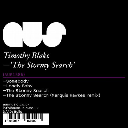 Timothy Blake – The Stormy Search