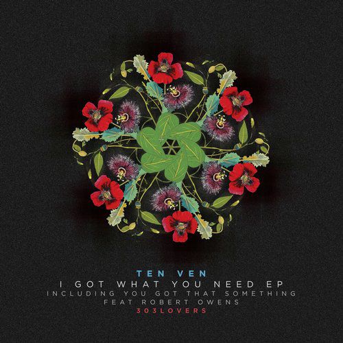 Ten Ven – I Got What You Need