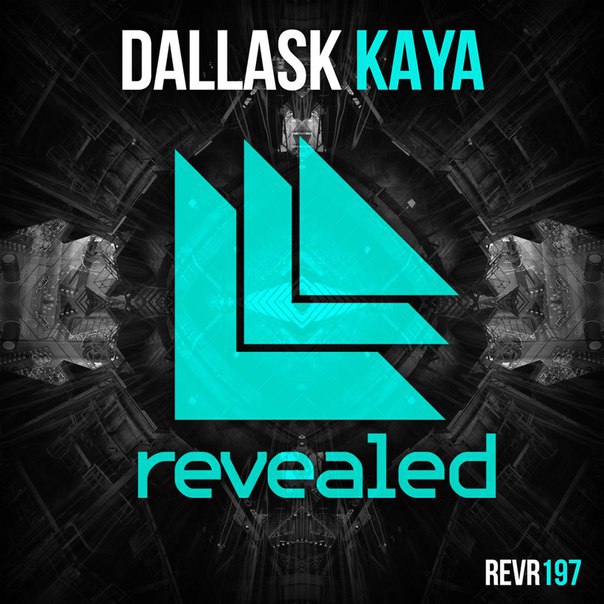 DallasK – Kaya