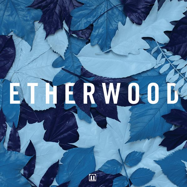 Etherwood – Blue Leaves