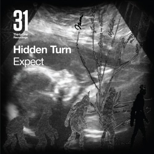Hidden Turn – Expect