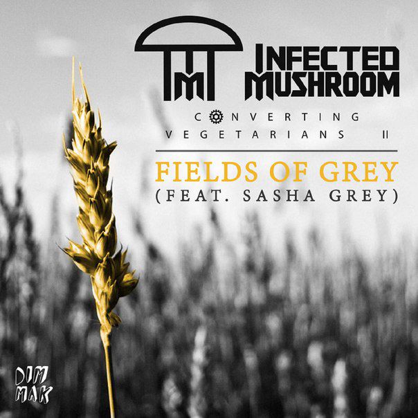 Infected Mushroom & Sasha Grey – Fields Of Grey