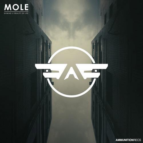Mole – Shining / Reality of Life