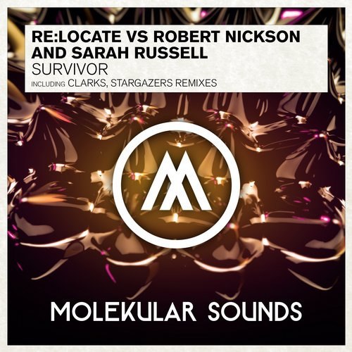 Re:Locate vs Robert Nickson & Sarah Russell – Survivor