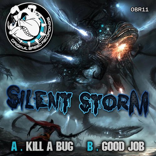 Silent Storm – Kill A Bug / Good Job