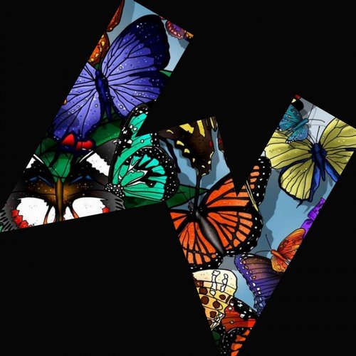 José de los Santos – Mariposas