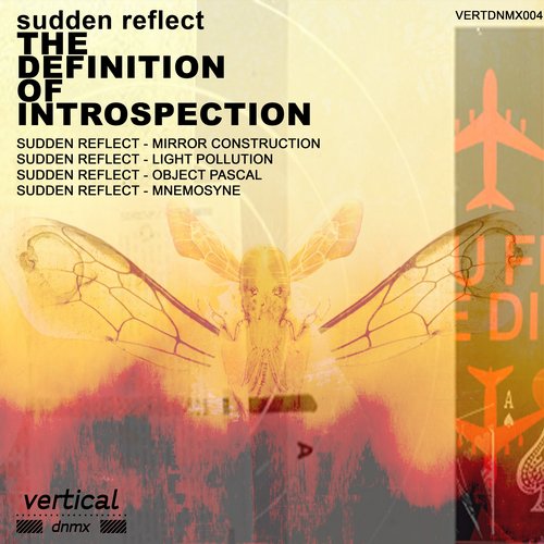 Sudden Reflect – The Definition Of Introspection