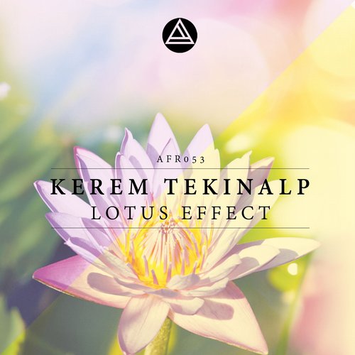Kerem Tekinalp – Lotus Effect