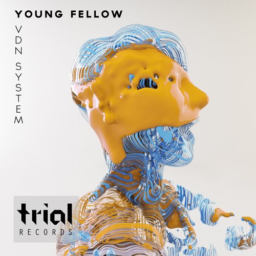 VDN System – Young Fellow