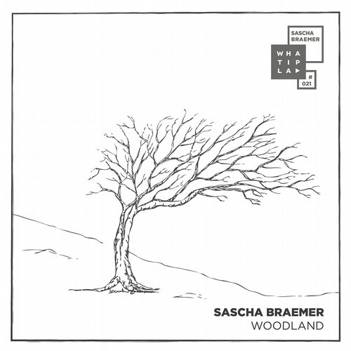 Sascha Braemer – Woodland