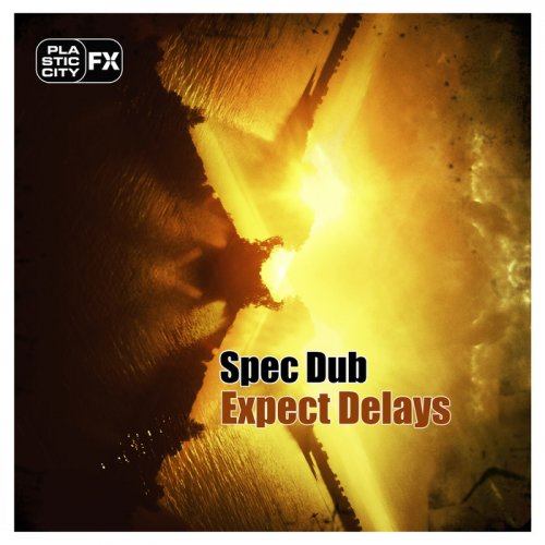 Spec Dub – Expect Delays