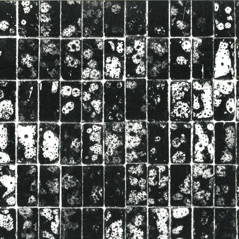 Hinode – Globular Clusters
