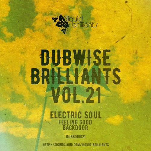 Electric Soul – Dubwise Brilliants Vol.21