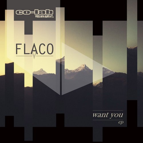 Flaco – Want You EP