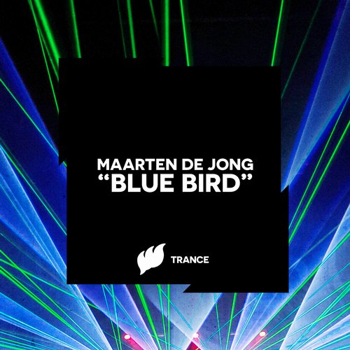 Maarten De Jong – Blue Bird