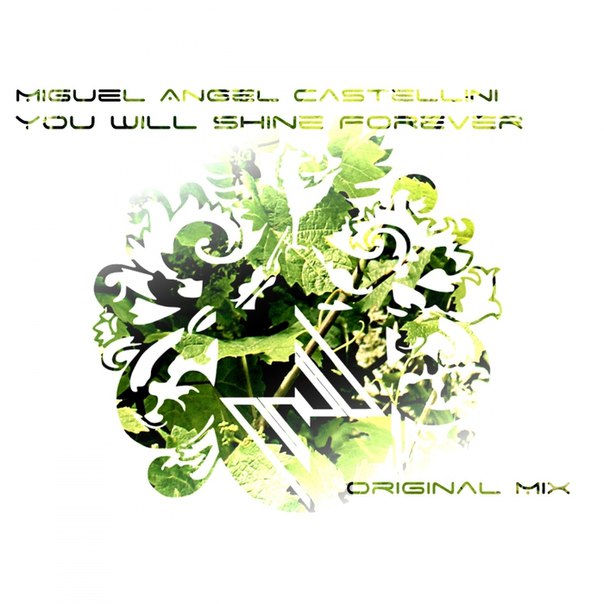 Miguel Angel Castellini – You Will Shine Forever