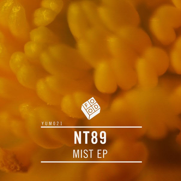 NT89 – Mist EP