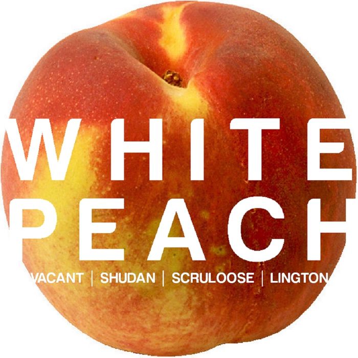 Peach Bits, Vol. 3 (White Peach)