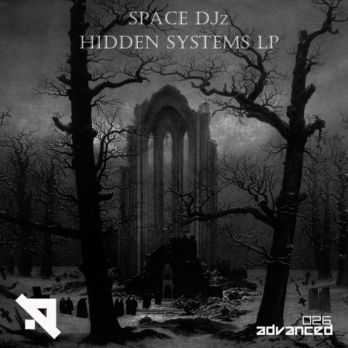 Space DJz – Hidden Systems LP