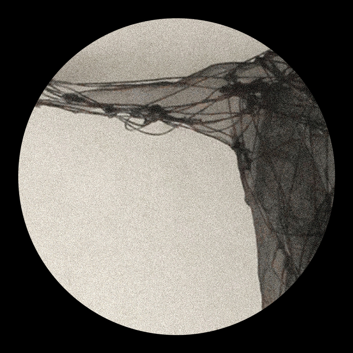 Michal Wolski – Blank Slate 011