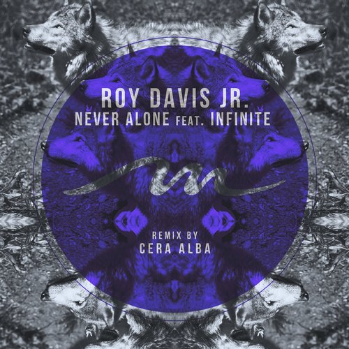 Roy Davis Jr. – Never Alone