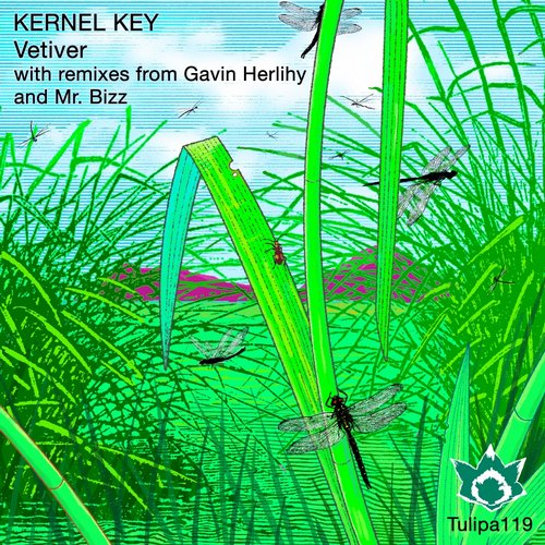 Kernel Key – Vetiver