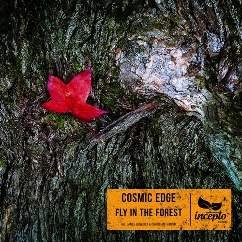 Cosmic Edge – Fly in the Forest