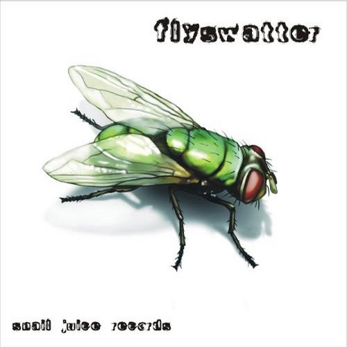 Flyswatter – Counter Intelligence