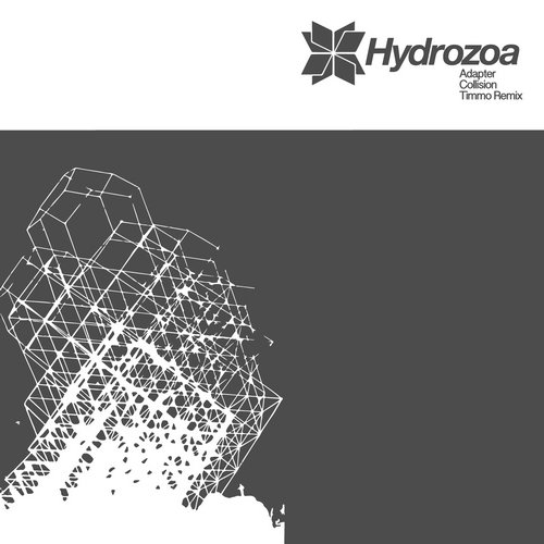 Adapter – Collision