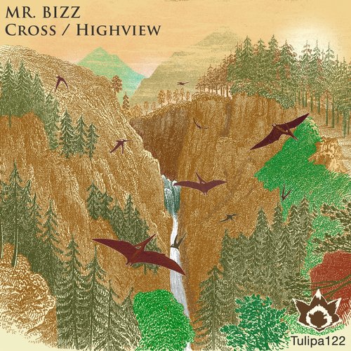 Mr. Bizz – Cross / Highview