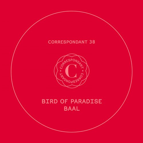 Bird of Paradise – Baal