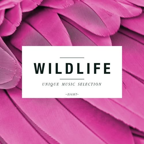 Wildlife Unique Music Selection Vol 8