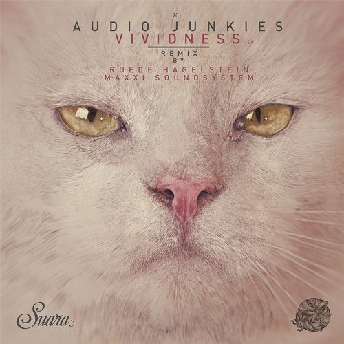 Audio Junkies Feat. Haptic – Vividness