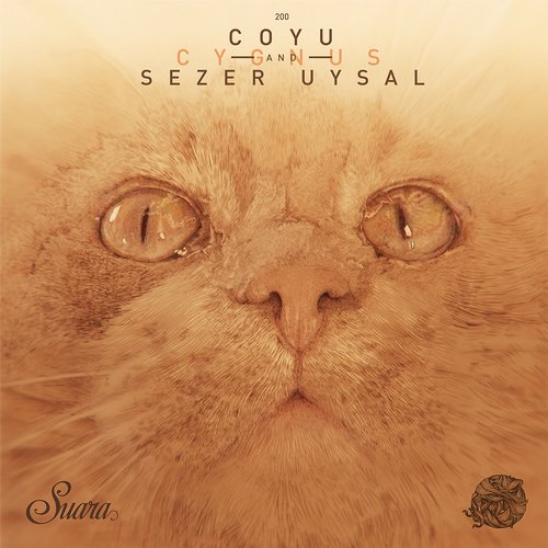 Coyu & Sezer Uysal – Cygnus