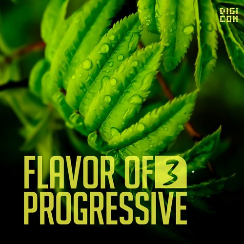 DigiCom: Flavor Of Progressive 03