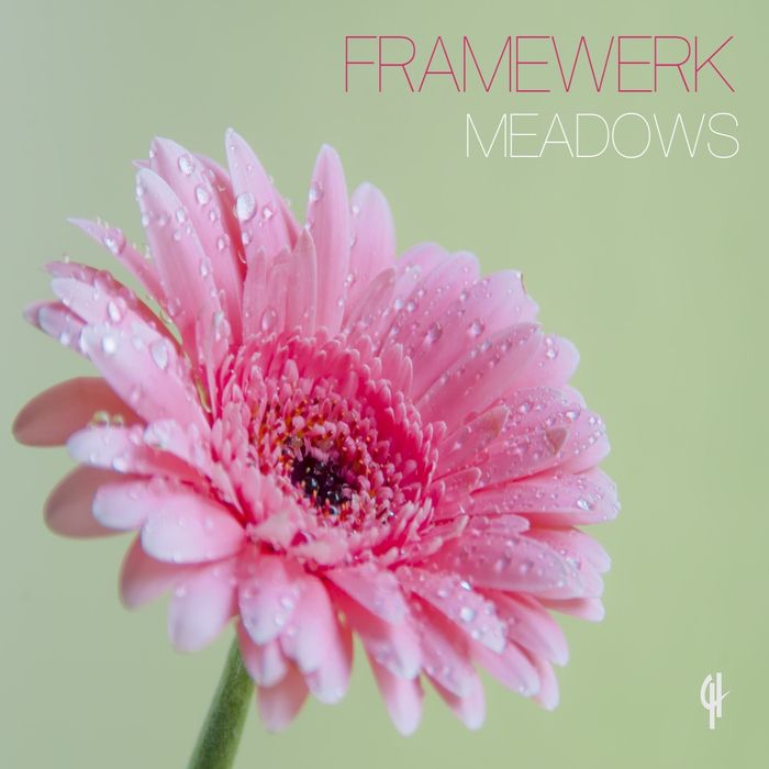 Framewerk – Meadows
