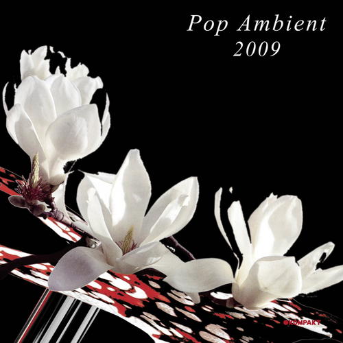 Pop Ambient 2009