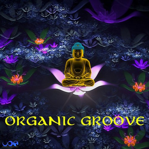 Z-UNIT – Organic Groove