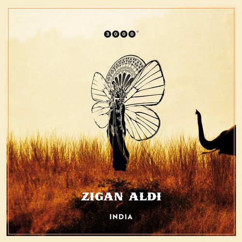 Zigan Aldi – India